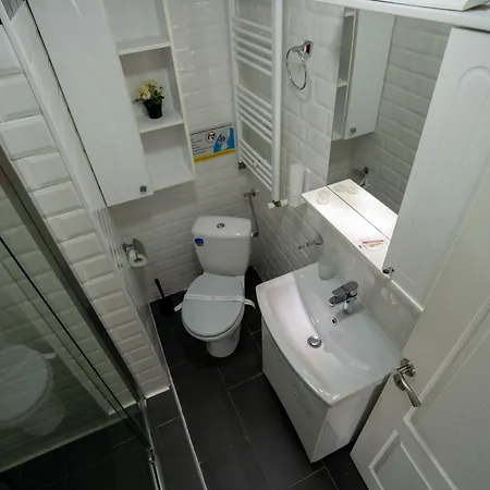 Modern Studio Park Carol Unirii - Lam1 Bucureşti